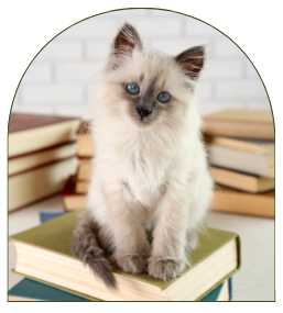 Pet Library